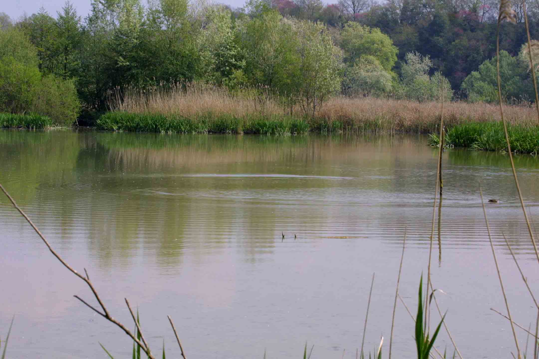 Laghi....del LAZIO